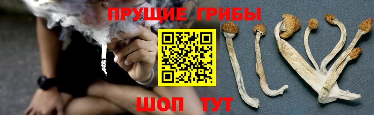 Псилоцибиновые грибы Psilocybe  Галлюциногенные грибы Psilocybine cubensis  Дзержинск  Вход с VPN 